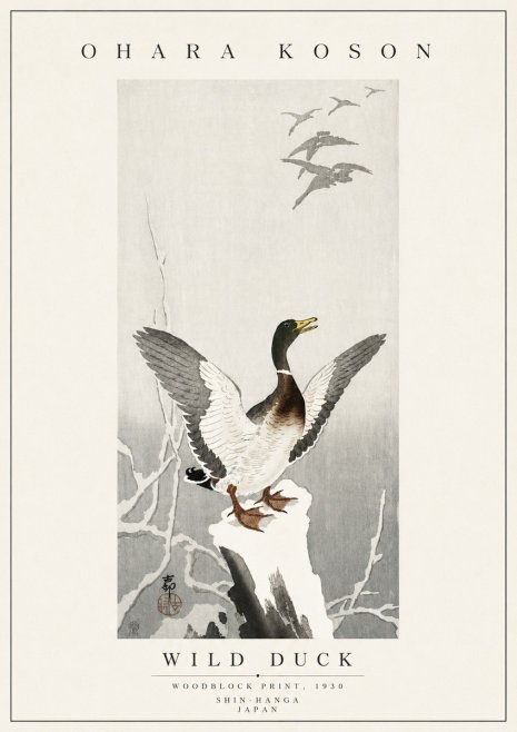 Ohara Koson Wild Duck No5 - Plakát