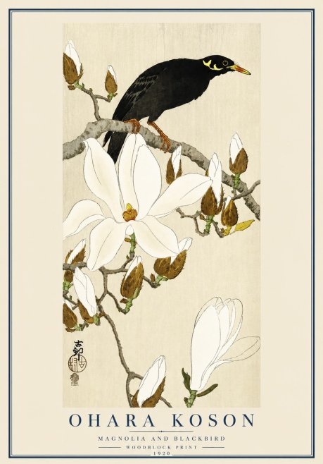 Ohara Koson Magnolia and Blackbird No3 - Plakát