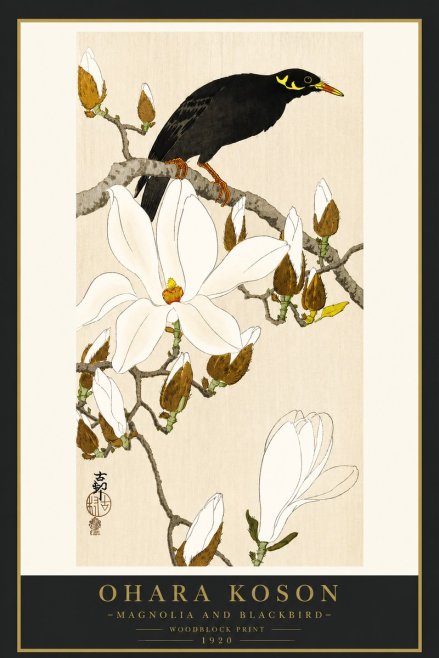 Ohara Koson Magnolia and Blackbird No4 - Plakát