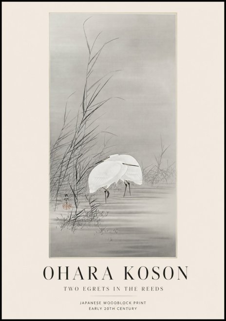 Ohara Koson Two Egrets in the Reeds No1 - Plakát
