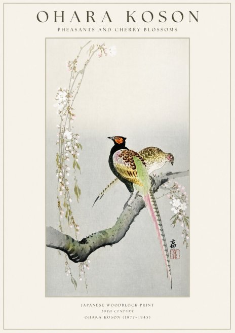 Ohara Koson Pheasants and Cherry Blossoms II No1 - Plakát