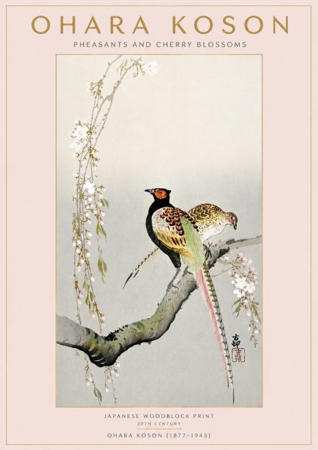 Ohara Koson Pheasants and Cherry Blossoms II No3 - Plakát