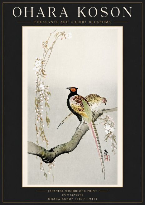 Ohara Koson Pheasants and Cherry Blossoms II No4 - Plakát