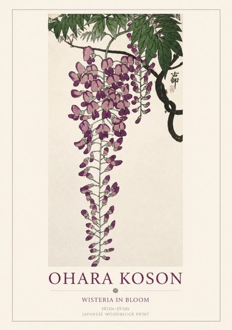 Ohara Koson Wisteria in Bloom No1 - Plakát