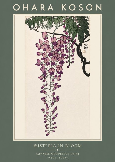 Ohara Koson Wisteria in Bloom No2 - Plakát