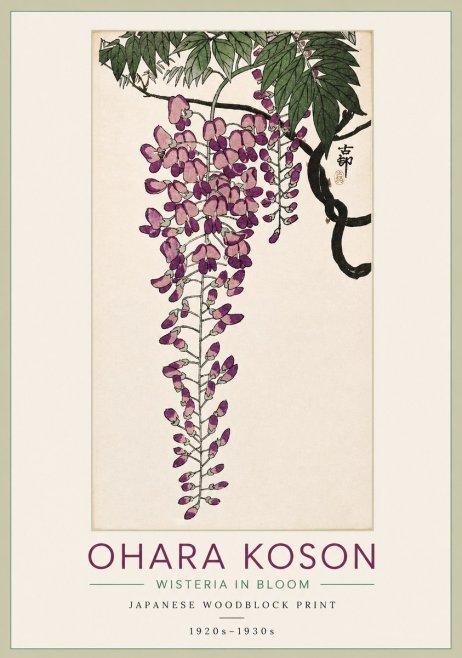 Ohara Koson Wisteria in Bloom No3 - Plakát
