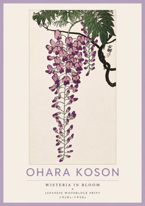 Ohara Koson Wisteria in Bloom No4 - Plakát