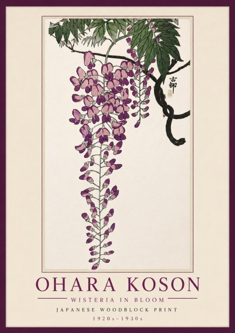Ohara Koson Wisteria in Bloom No5 - Plakát