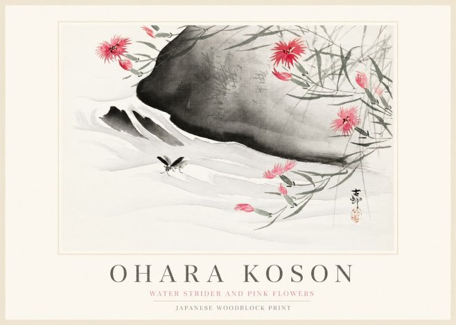 Ohara Koson Water Strider and Pink Flowers No1 - Plakát