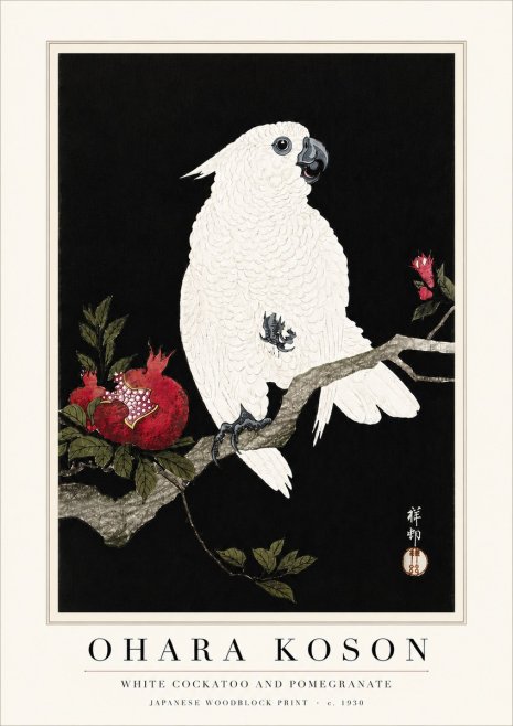 Ohara Koson White Cockatoo and Pomegranate I No6 - Plakát