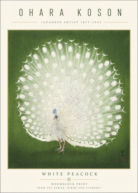 Ohara Koson White Peacock No3 - Plakát