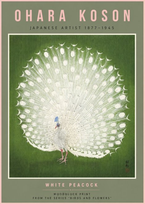 Ohara Koson White Peacock No6 - Plakát