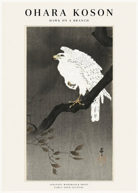 Ohara Koson Hawk on a Branch II No1 - Plakát