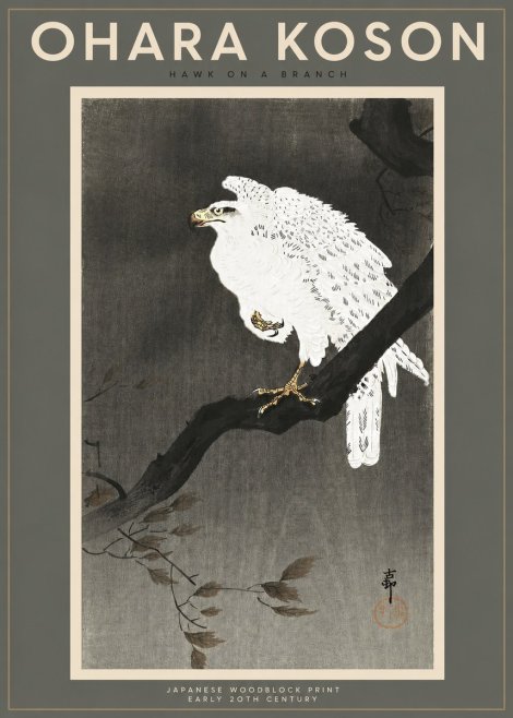 Ohara Koson Hawk on a Branch II No2 - Plakát