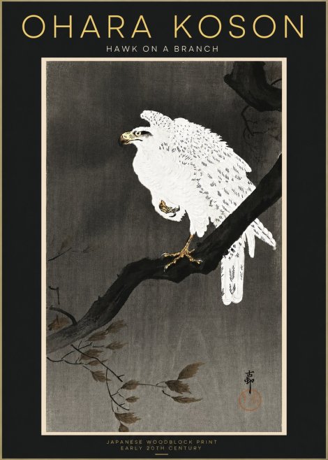 Ohara Koson Hawk on a Branch II No4 - Plakát
