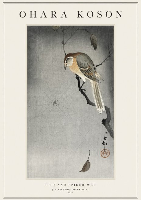 Ohara Koson Bird and Spider Web II No1 - Plakát