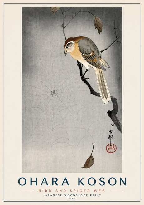 Ohara Koson Bird and Spider Web II No3 - Plakát