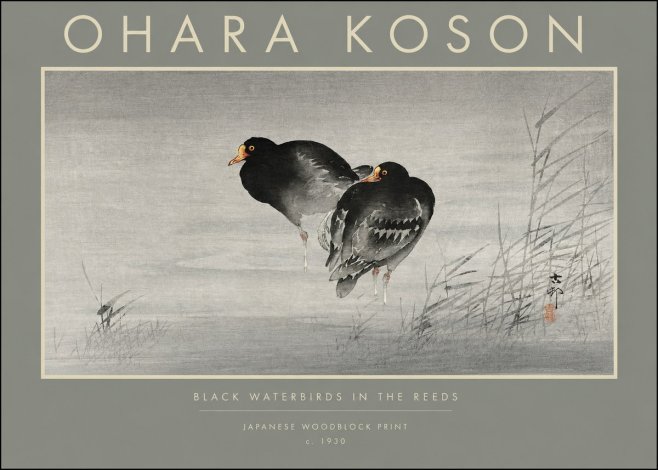 Ohara Koson Black Waterbirds in the Reeds No2 - Plakát