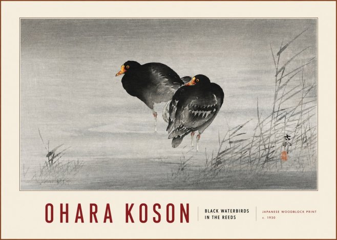 Ohara Koson Black Waterbirds in the Reeds No3 - Plakát