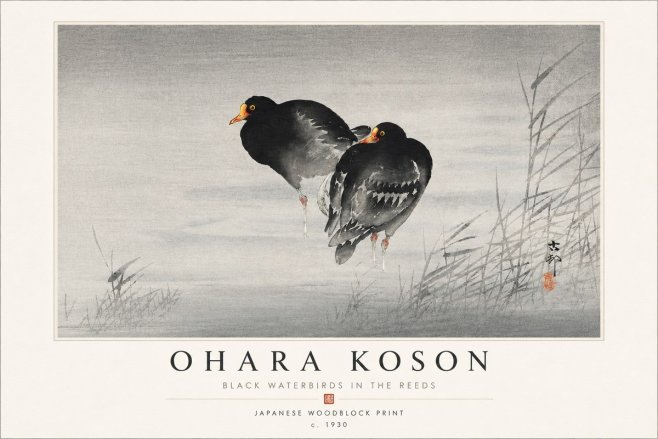Ohara Koson Black Waterbirds in the Reeds No4 - Plakát
