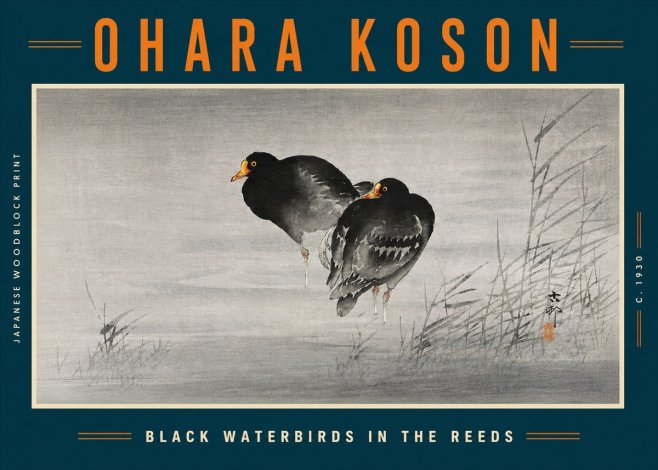 Ohara Koson Black Waterbirds in the Reeds No5 - Plakát