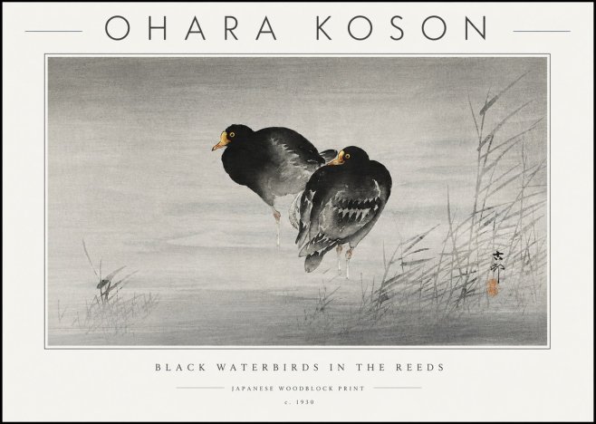 Ohara Koson Black Waterbirds in the Reeds No6 - Plakát