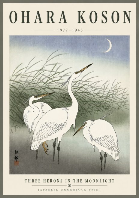 Ohara Koson Three Herons in the Moonlight No6 - Plakát
