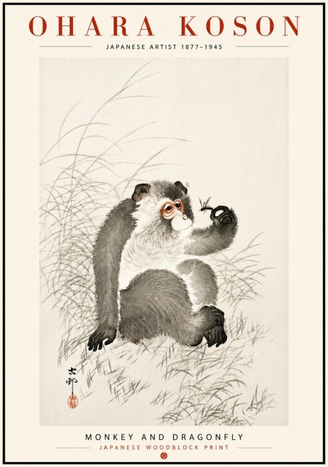 Ohara Koson Monkey and Dragonfly No6 - Plakát