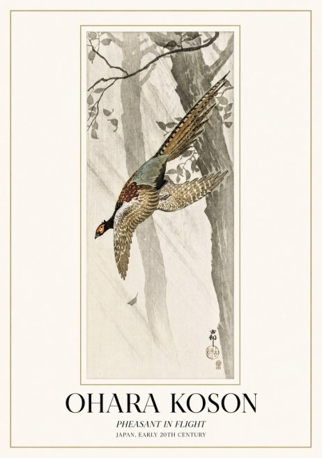 Ohara Koson Pheasant in Flight No1 - Plakát