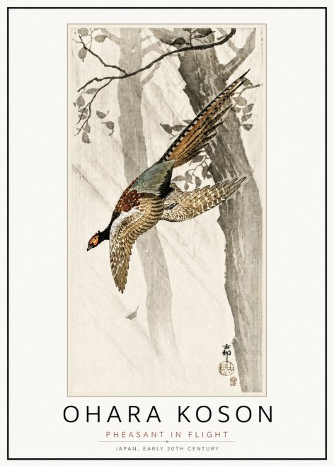 Ohara Koson Pheasant in Flight No4 - Plakát