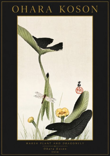 Ohara Koson Marsh Plant and Dragonfly No5 - Plakát