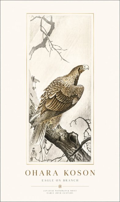 Ohara Koson Eagle on Branch No1 - Plakát