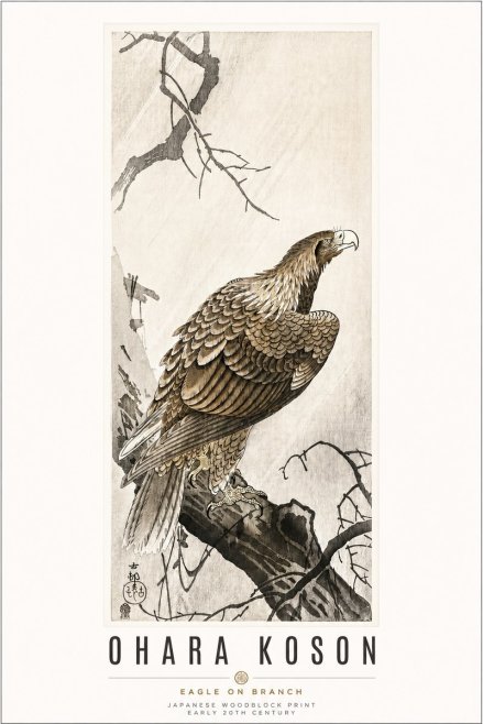 Ohara Koson Eagle on Branch No3 - Plakát