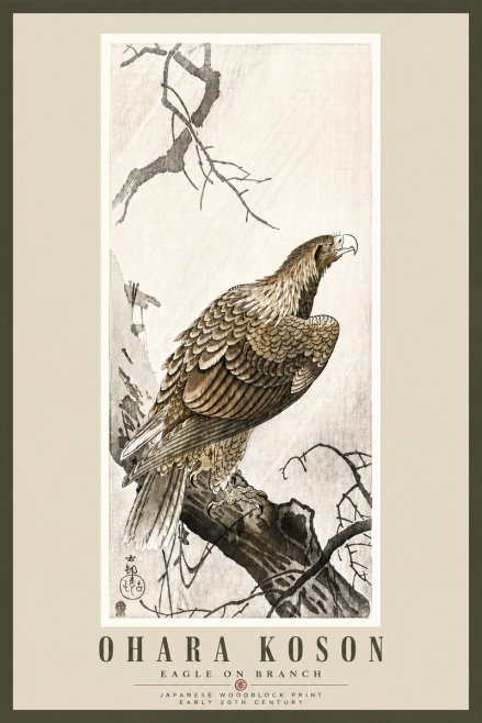 Ohara Koson Eagle on Branch No5 - Plakát