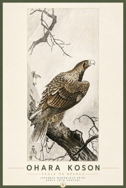 Ohara Koson Eagle on Branch No6 - Plakát