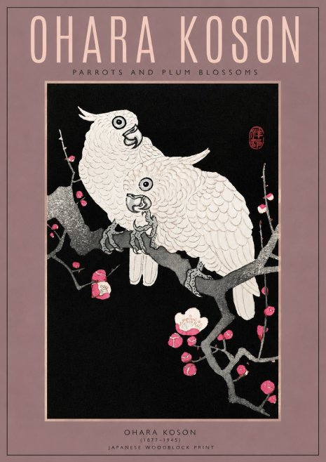 Ohara Koson Parrots and Plum Blossoms No3 - Plakát
