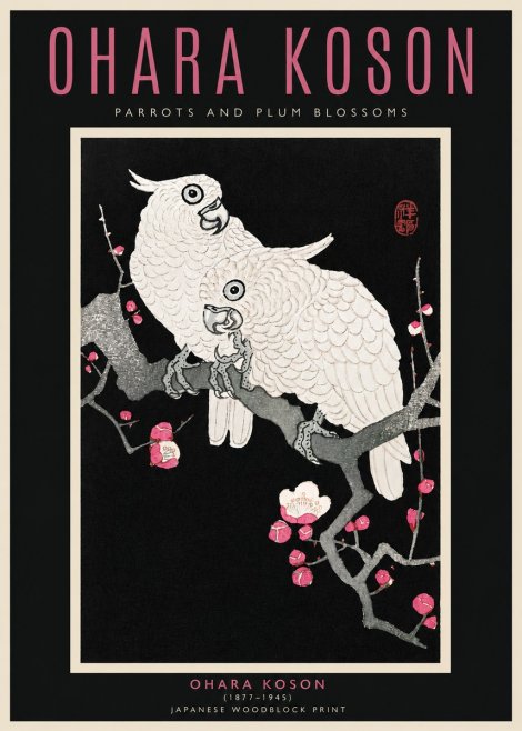 Ohara Koson Parrots and Plum Blossoms No4 - Plakát
