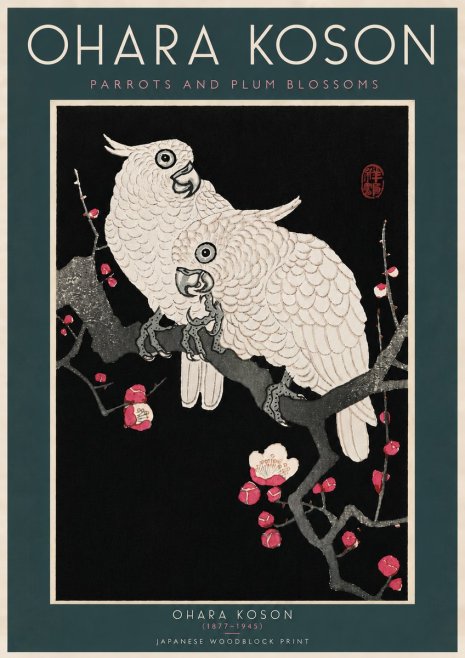 Ohara Koson Parrots and Plum Blossoms No6 - Plakát