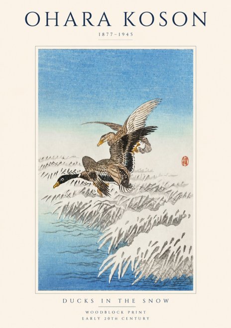 Ohara Koson Ducks in the Snow No1 - Plakát
