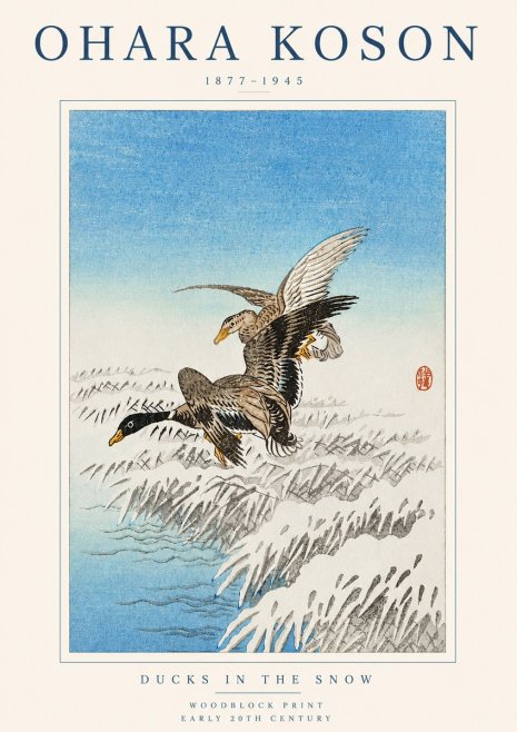 Ohara Koson Ducks in the Snow No3 - Plakát