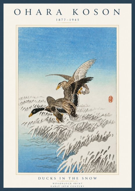 Ohara Koson Ducks in the Snow No4 - Plakát