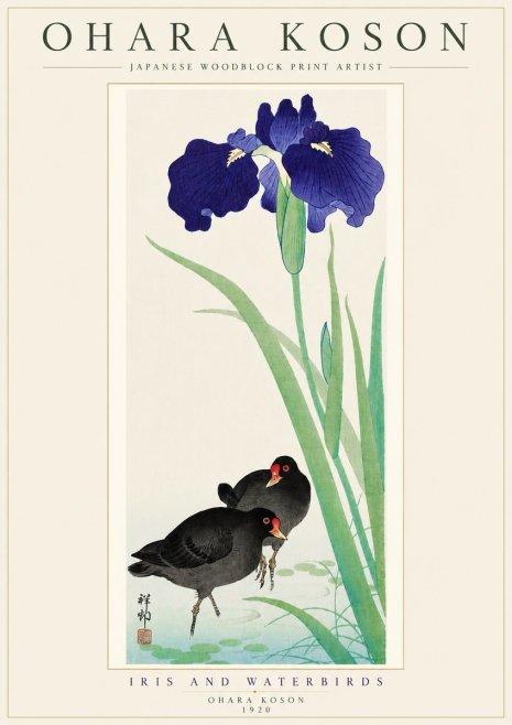 Ohara Koson Iris and Waterbirds No5 - Plakát