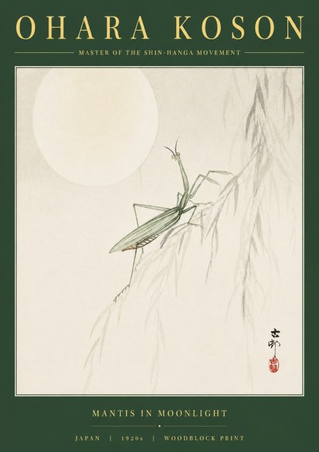 Ohara Koson Mantis in Moonlight No2 - Plakát
