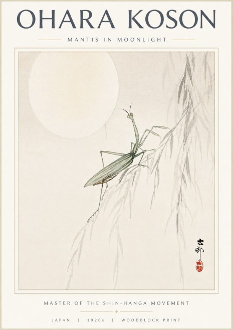 Ohara Koson Mantis in Moonlight No5 - Plakát