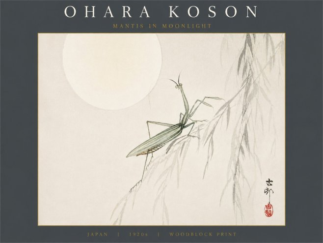 Ohara Koson Mantis in Moonlight No6 - Plakát