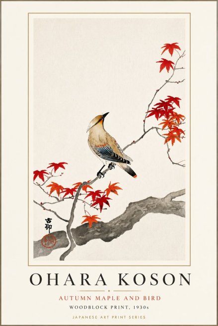 Ohara Koson Autumn Maple and Bird No3 - Plakát