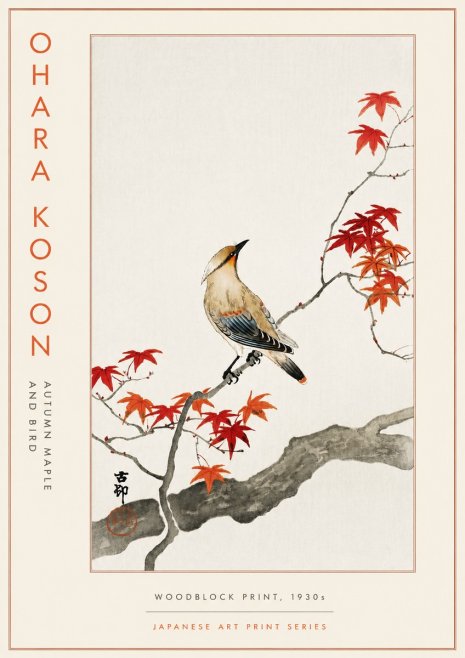 Ohara Koson Autumn Maple and Bird No5 - Plakát