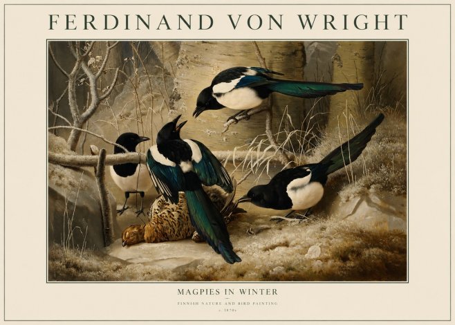 Ferdinand von Wright Magpies in Winter No1 - Plakát