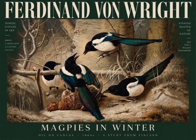 Ferdinand von Wright Magpies in Winter No5 - Plakát