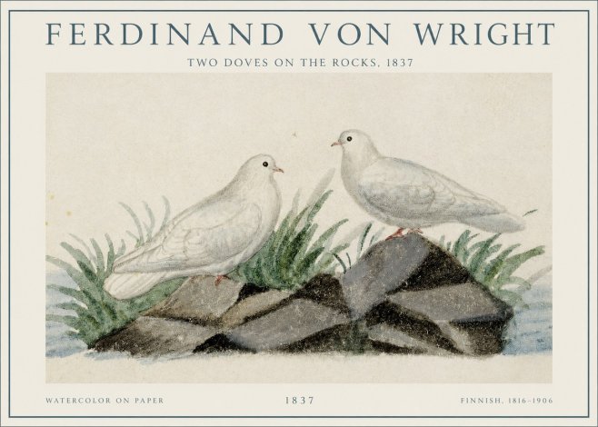 Ferdinand von Wright Two Doves on the Rocks, 1837 No1 - Plakát